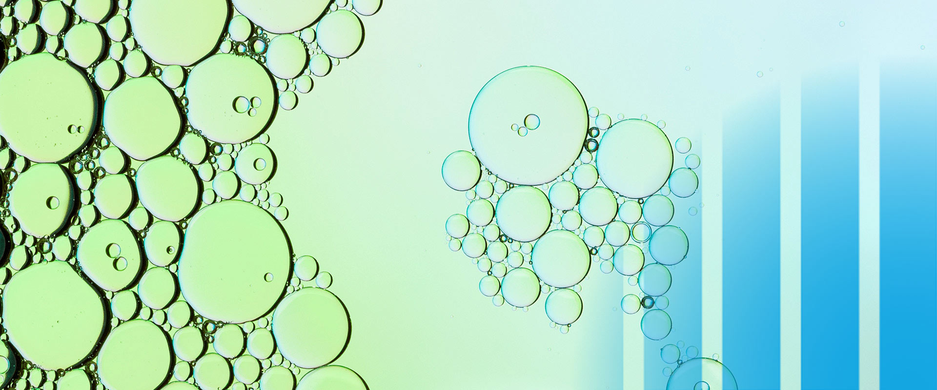 Bieler+Lang : Toxische Gase