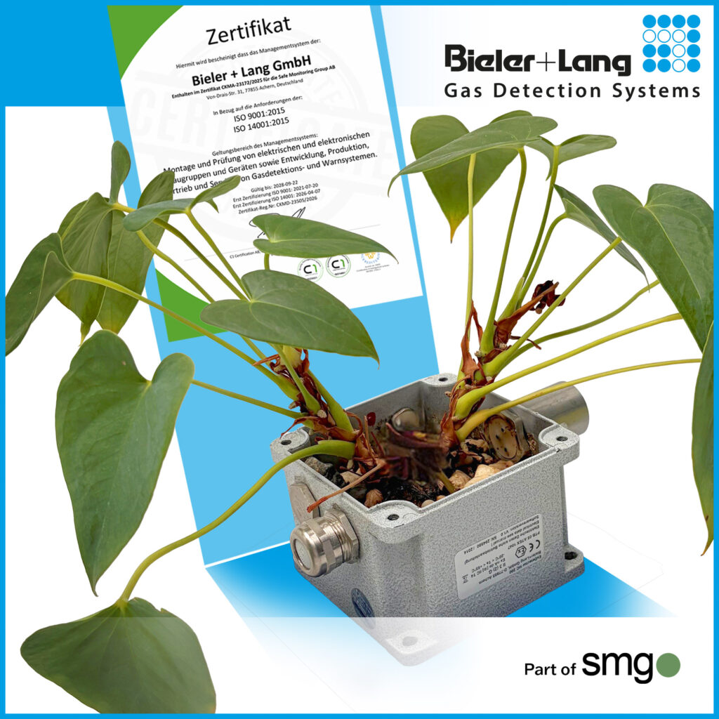 Bieler+Lang GmbH ISO 14001:2015 und ISO 9001:2025 Zertifizierung im Jahr 2026. Zimmerplflanze in einem ExDetektor-Gehäuse als Symbol für Umweltfreundliches Management in Bieler+Lang.