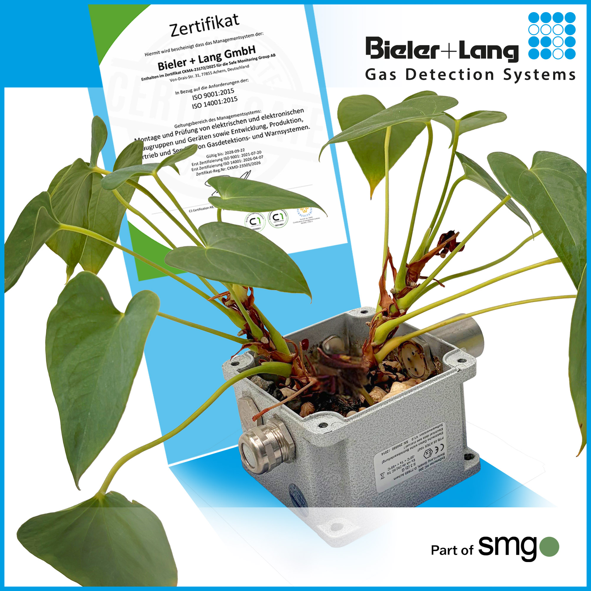 Bieler+Lang GmbH ISO 14001:2015 und ISO 9001:2025 Zertifizierung im Jahr 2026. Zimmerplflanze in einem ExDetektor-Gehäuse als Symbol für Umweltfreundliches Management in Bieler+Lang.